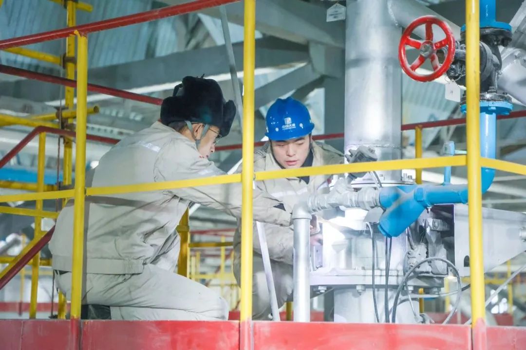 1704243272884063385.jpg 托1.jpg