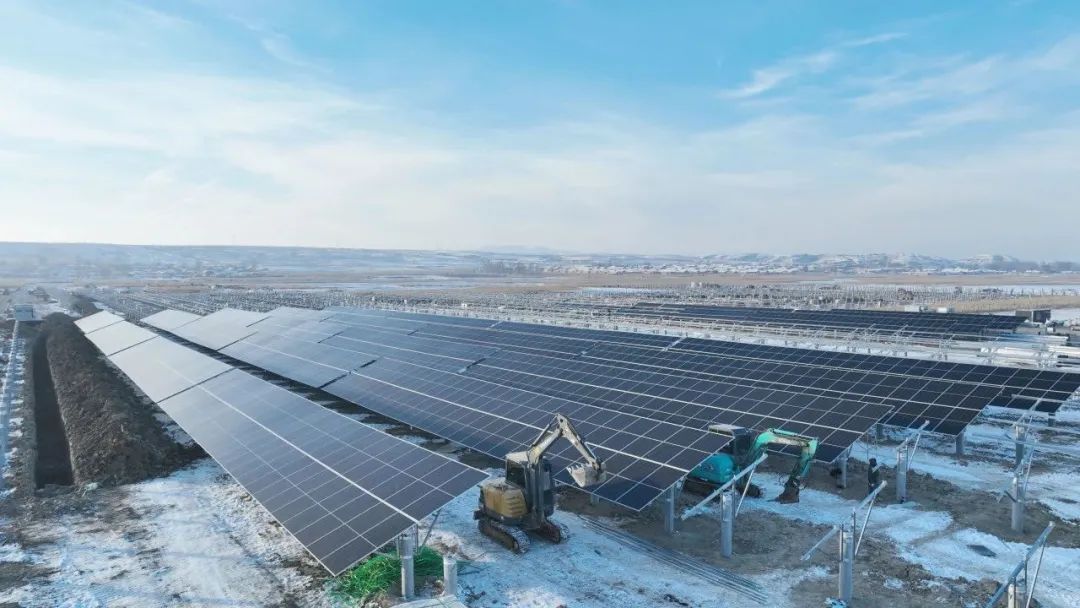 1704243327902025825.jpg 蔚6.jpg