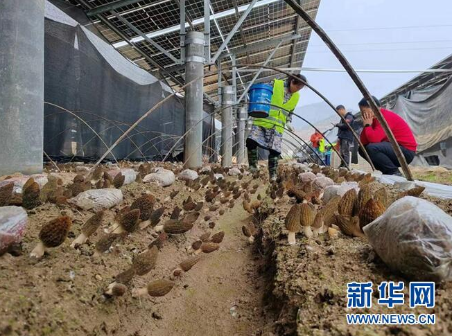 1679014587501000767.png 微信截圖_20230317085221.png